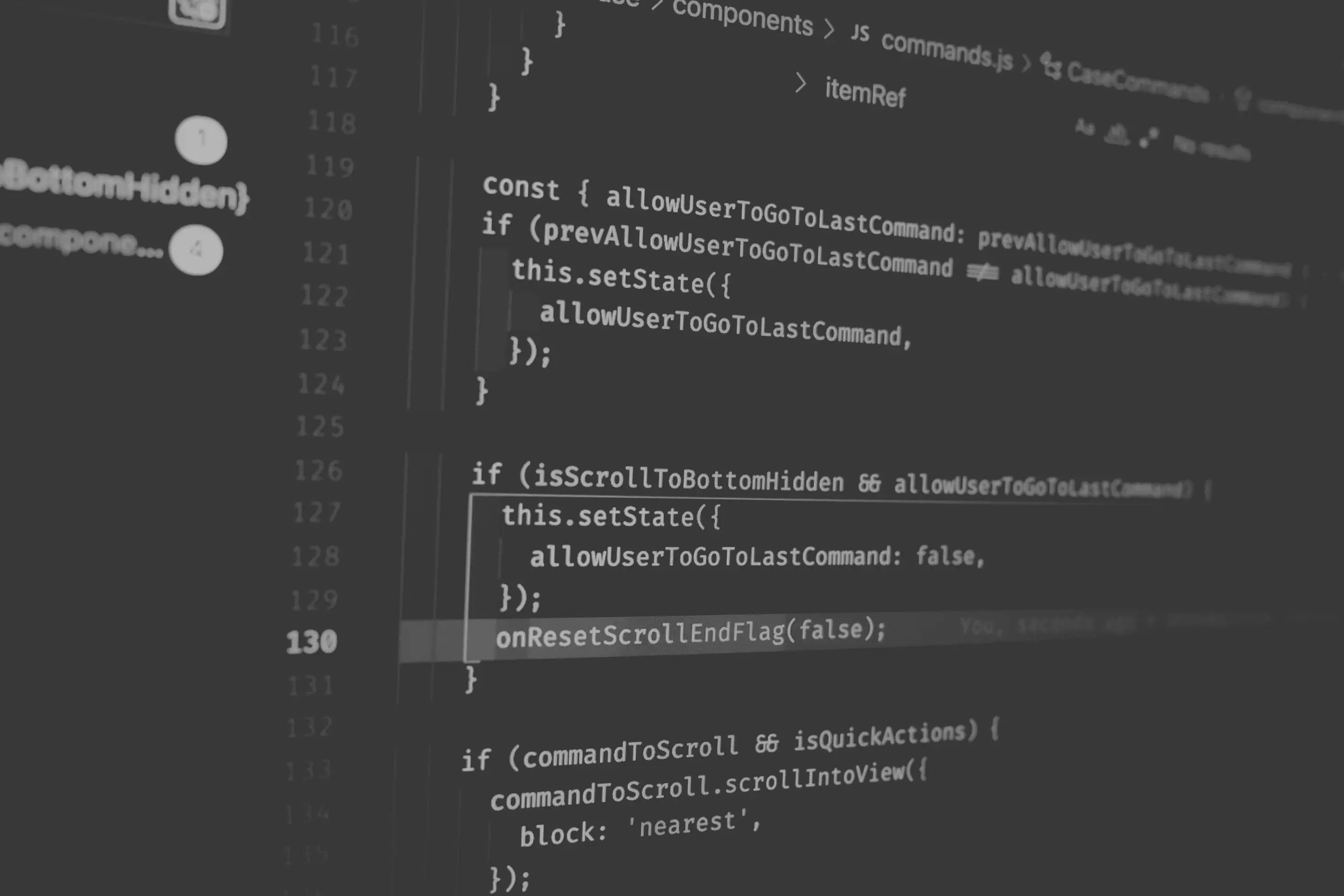 Software